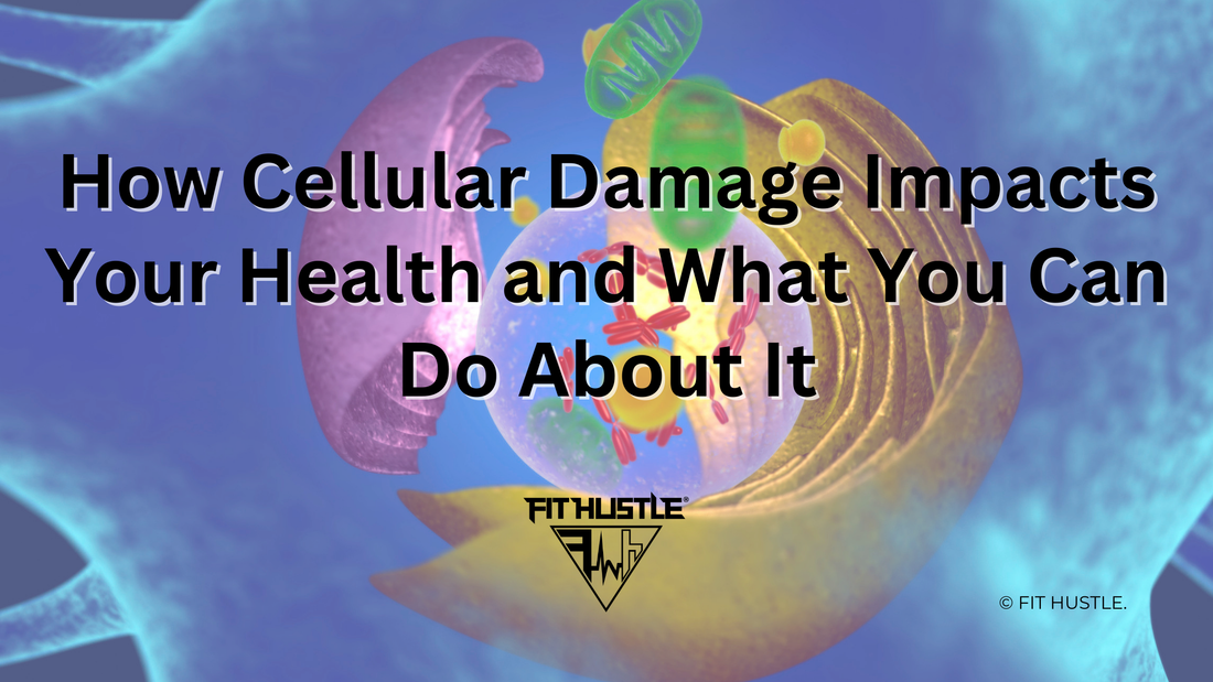 How Cellular Damage Impacts Your Health and What You Can Do About It