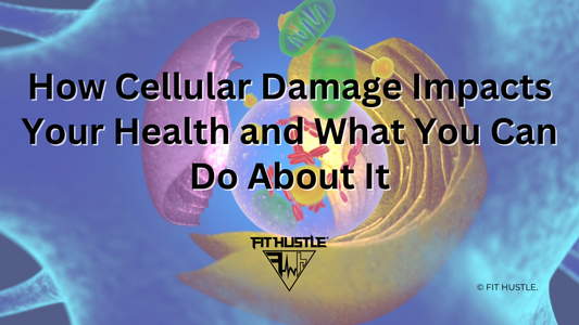 How Cellular Damage Impacts Your Health and What You Can Do About It